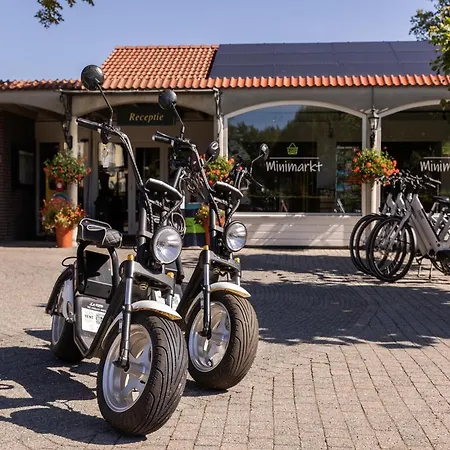 In Diessen Near Park Heikant