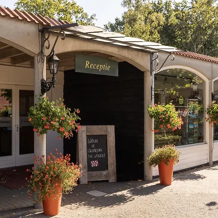 In Diessen Near Park Heikant